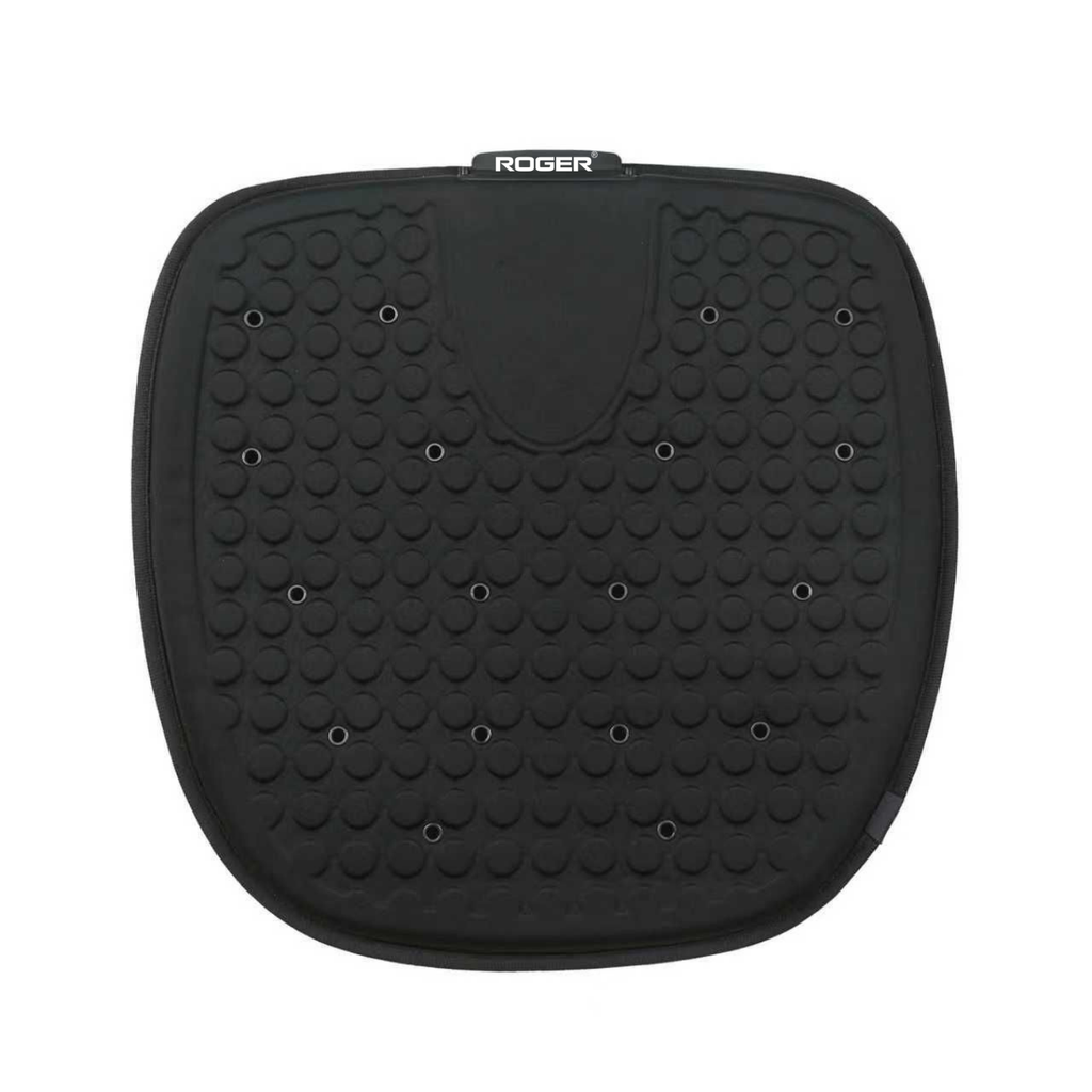 ROGER Universal Car Cooling Seat Cushion with 3-Speed Fan, Remote Control & 12V/USB-C Power